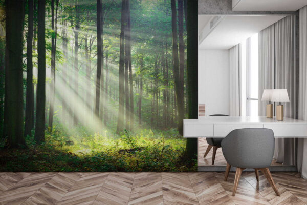 Sunbeams streaming through the forest Wall murals Sunbeams streaming through the forest