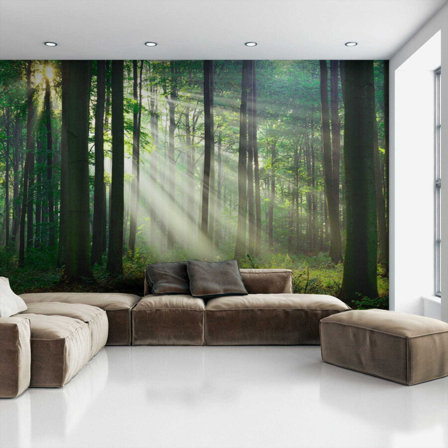 u56787pig1 u56787pig1