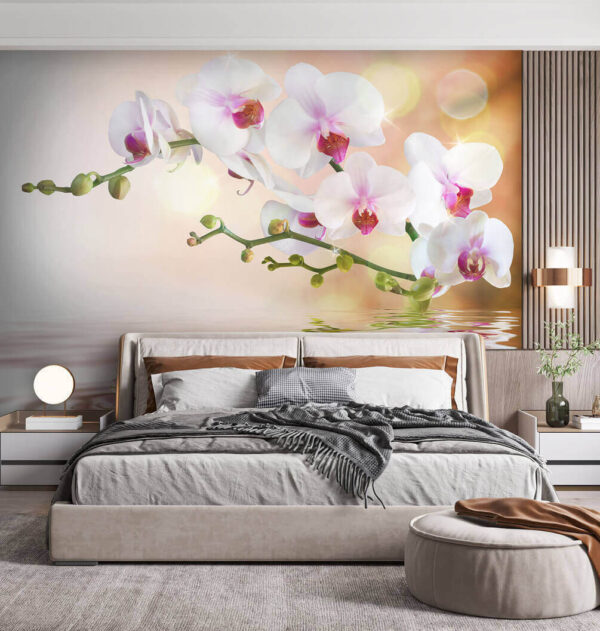 Orchids reflecting on tranquil water Wall murals Orchids reflecting on tranquil water