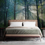 Wall murals Sun shining through trees in a forest