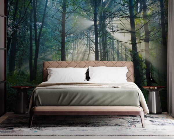 Wall murals Sun shining through trees in a forest Wall murals Sun shining through trees in a forest