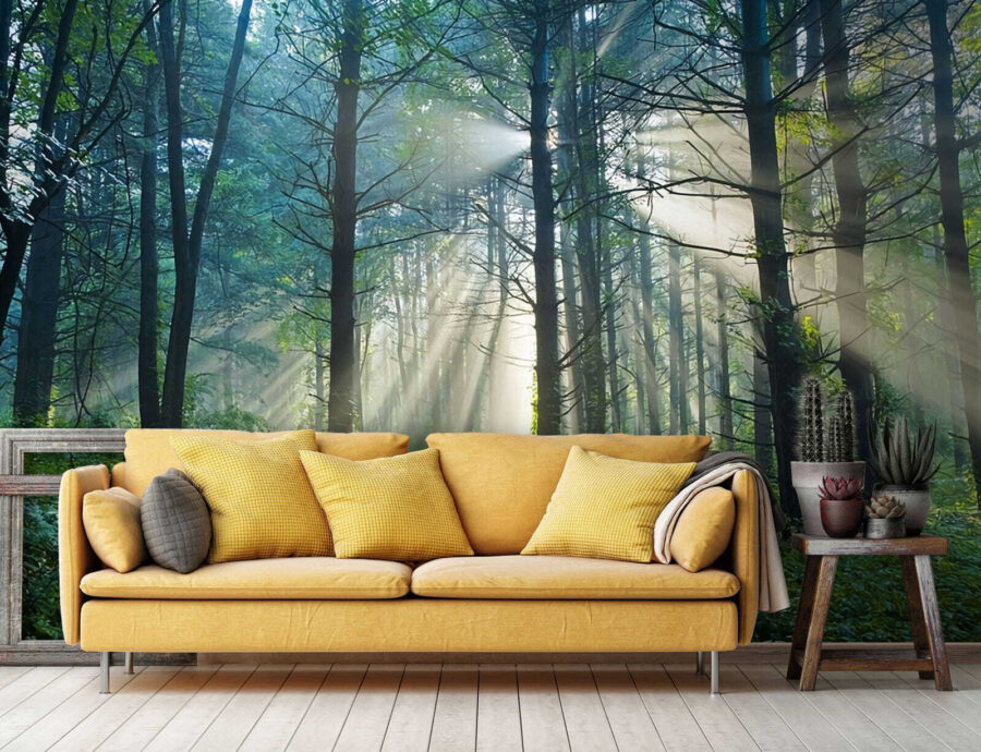 u70959pig1 u70959pig1