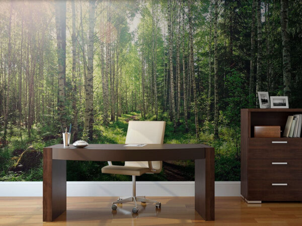 Dirt path through a forest Wall murals Dirt path through a forest