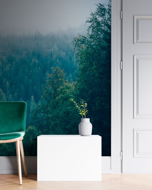 Wall murals Forest of trees with fog Wall murals Forest of trees with fog