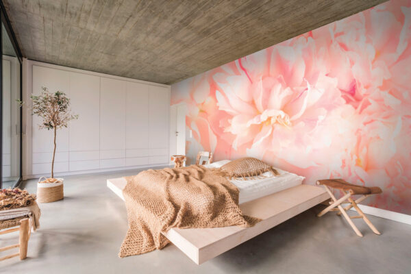 Wall murals Delicate petals in soft hues Wall murals Delicate petals in soft hues