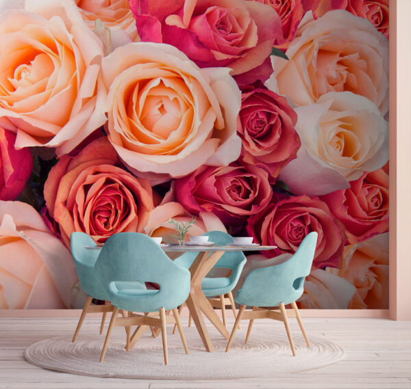 Wall murals Group of pink and white roses Wall murals Group of pink and white roses