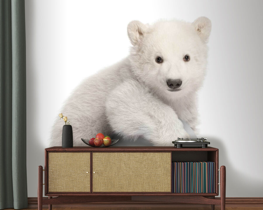 u77845pig20 u77845pig20