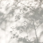 u79829p