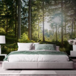 Wall murals Sunlight streaming through the forest.