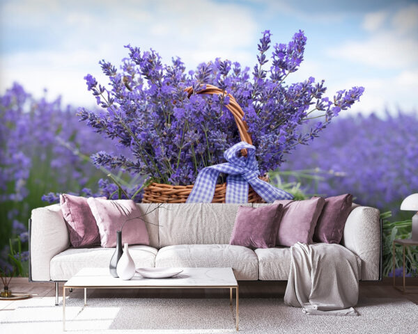 Basket of lavender in a field Wall murals Basket of lavender in a field