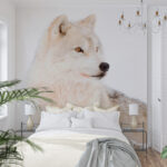Wall murals White wolf in the snow