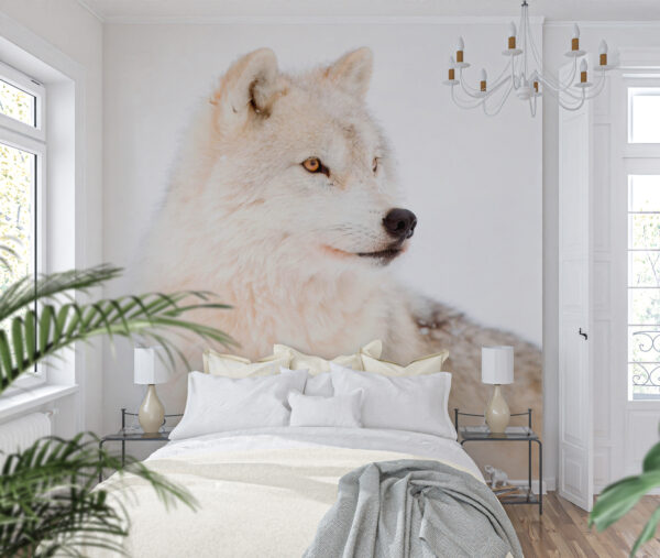 White wolf in the snow Wall murals White wolf in the snow