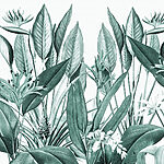 u96833v3p.jpg