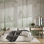 Wall murals Foggy forest with tall trees