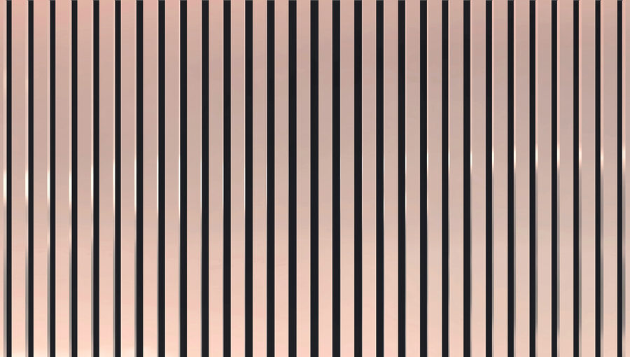 u99471v2p.jpg