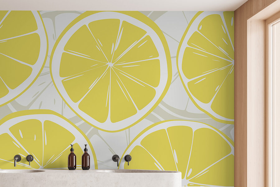 w00725v2pit1mr w00725v2pit1mr