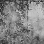 w00766p.jpg