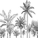 w00773p.jpg