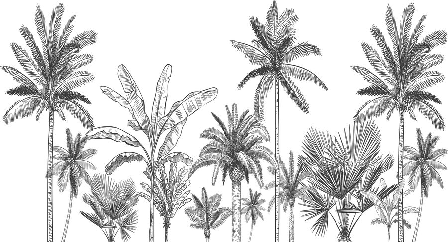 w00773p.jpg