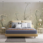 Wall murals Delicate wildflowers in soft light