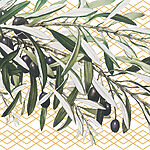 w00919p.jpg