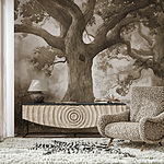 Wall murals Group of trees with a hole in the trunk