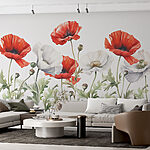 Wall murals Vibrant poppies in full bloom.