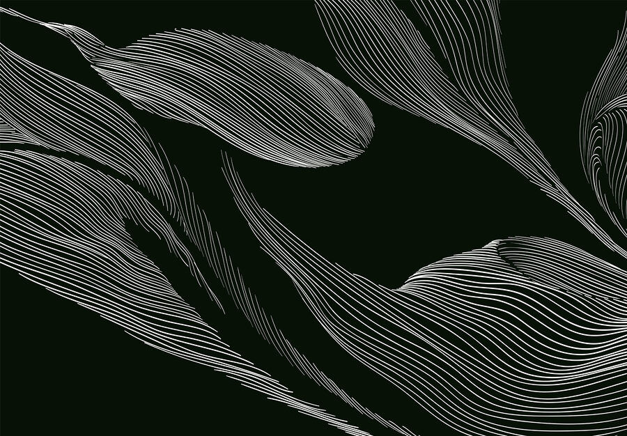 w01216v2p.jpg