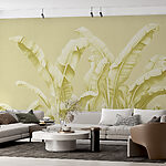 Wall murals Group of banana leaves