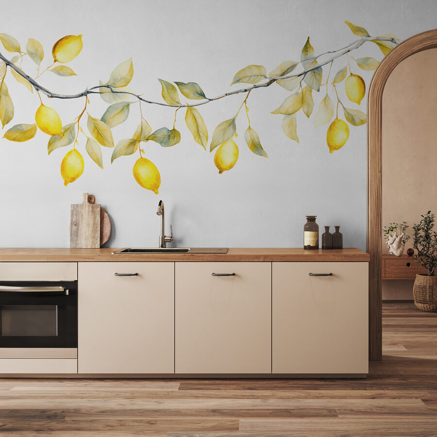 w08095pik1ms w08095pik1ms