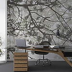 Wall murals Tree branches with needles