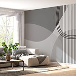 Wall murals Grey and white background with circles and lines