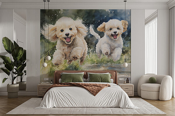 Two dogs jumping in the air Wall murals Two dogs jumping in the air