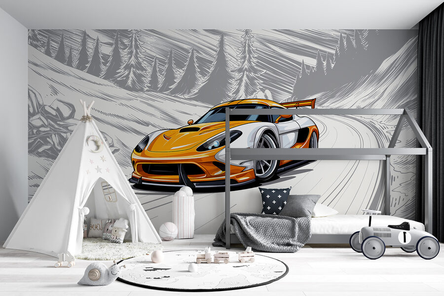 w00954pir6r w00954pir6r