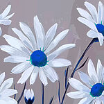 w00996v1p.jpg