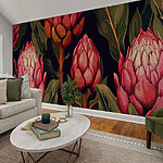Wall murals Blooming Proteas in Vibrant Hues