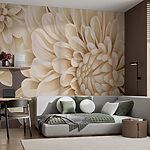 Wall murals Creamy Chrysanthemums in Bloom
