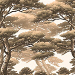 w01755p.jpg
