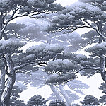 w01755v2p.jpg