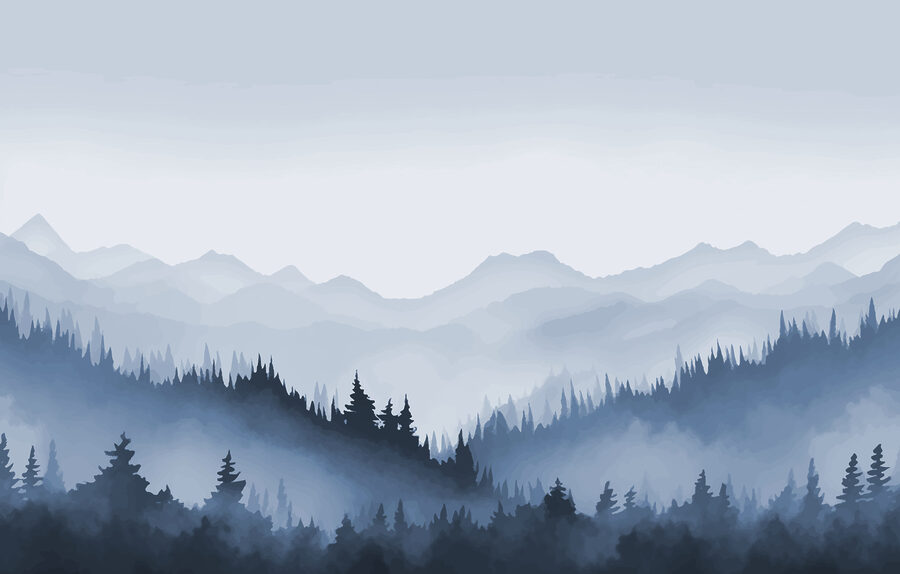 w01747v2p.jpg