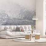 Wall murals Silver mountain under micro lens