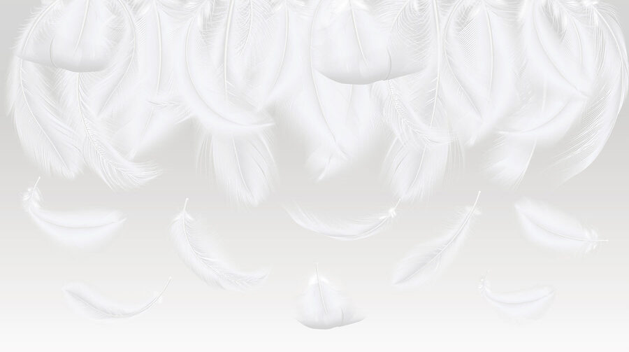w01150v1p.jpg