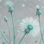w02614v1p.jpg