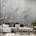 Wall murals Gentle whispers of soft grasses