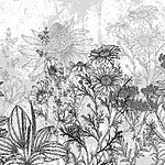 w02523p.jpg