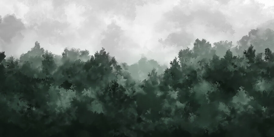 w02410p.jpg