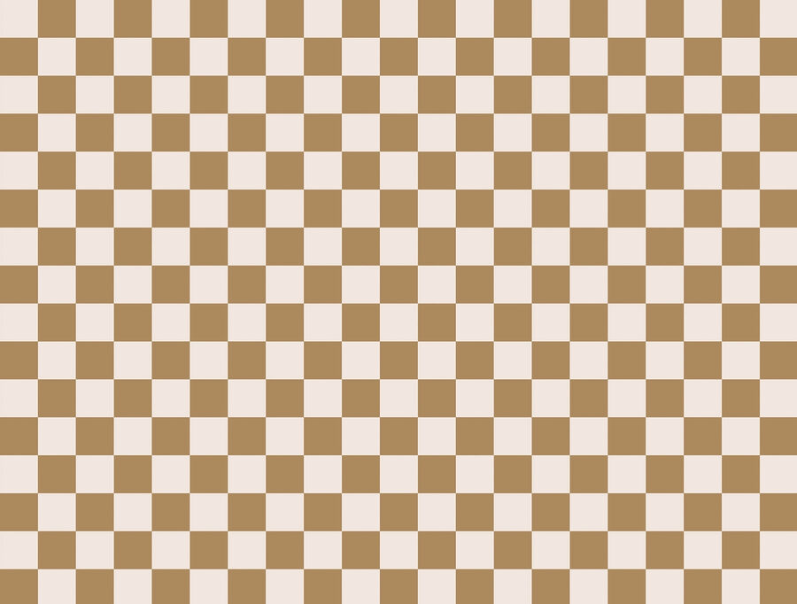 w01922v3p.jpg