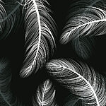 w02369v4p.jpg