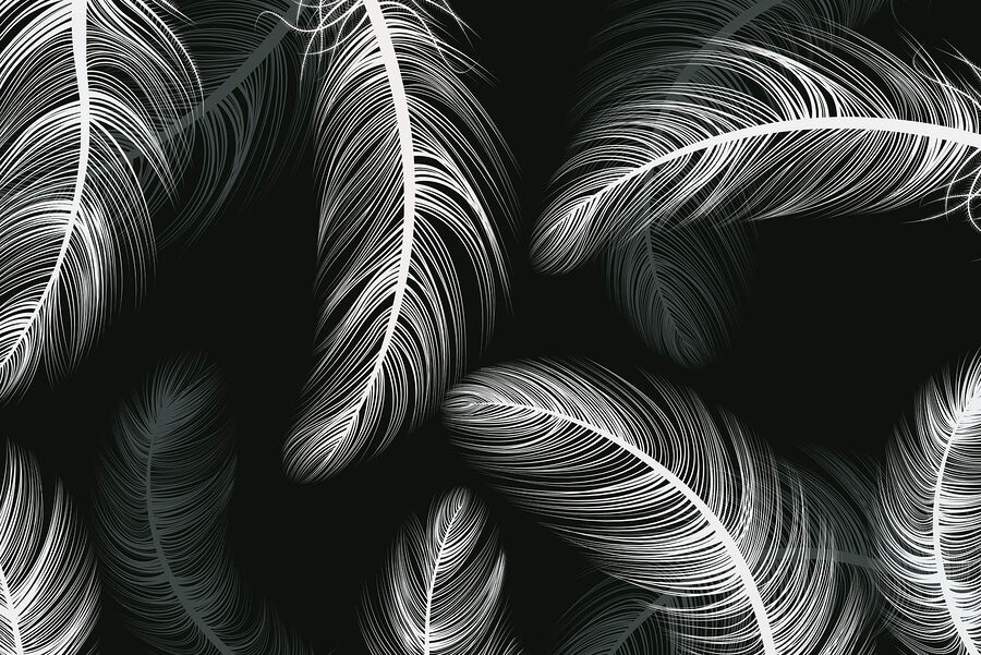 w02369v4p.jpg