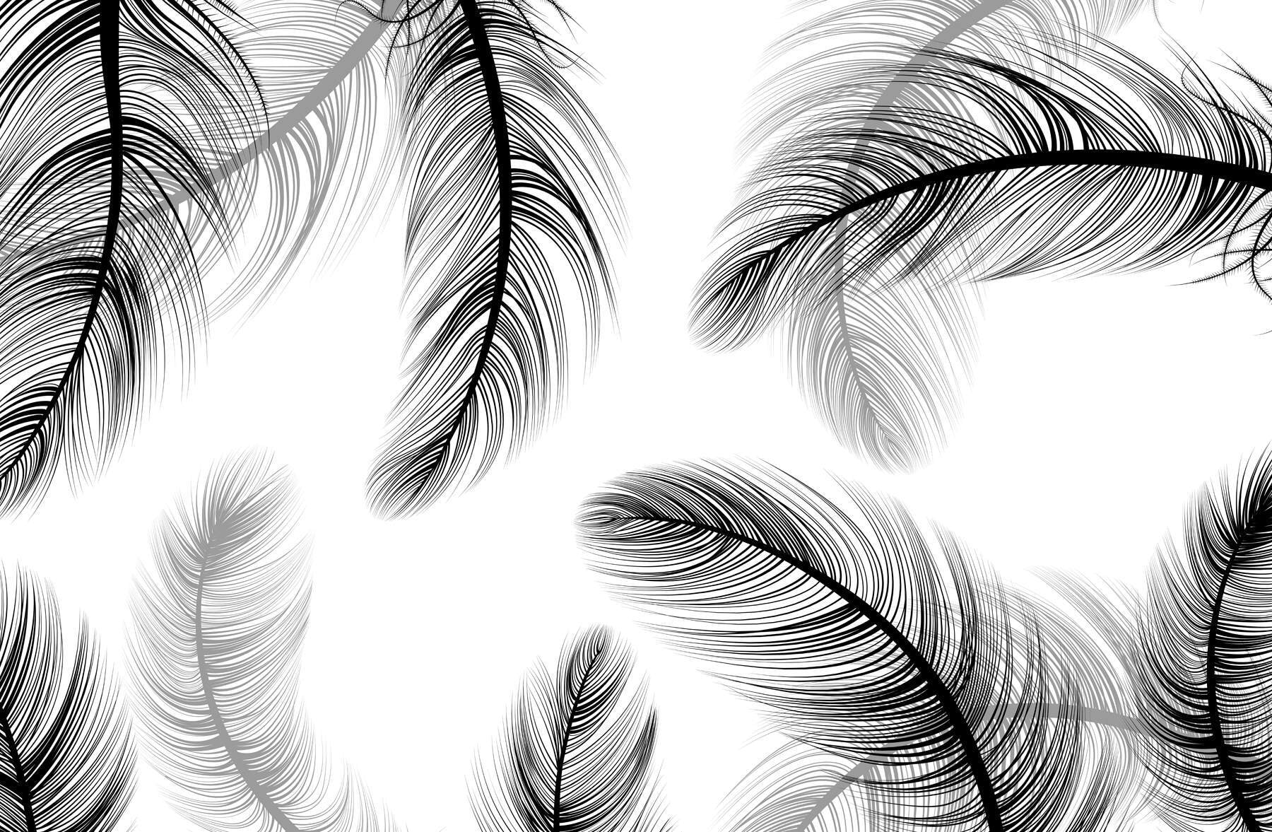 w02369v3p.jpg w02369v3p.jpg